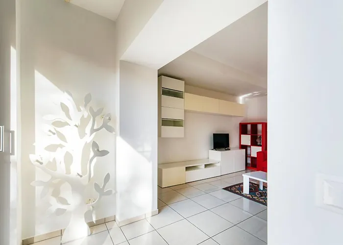 Florida By Quokka 360 - Between The And The *