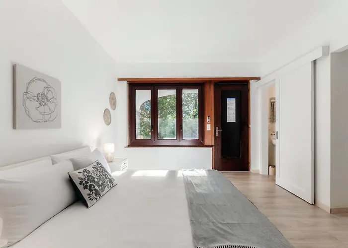 Florida By Quokka 360 - Between The And The *