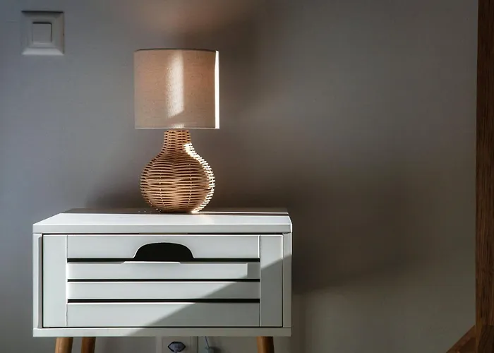 Florida By Quokka 360 - Between The And The * Ascona