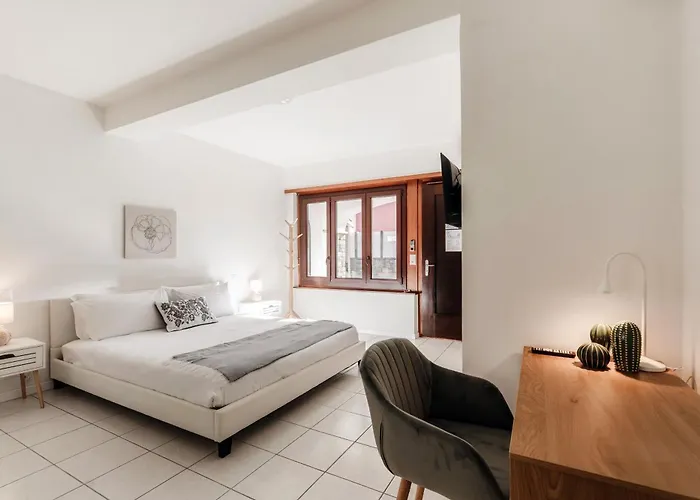 Florida By Quokka 360 - Between The And The Apartamento Ascona