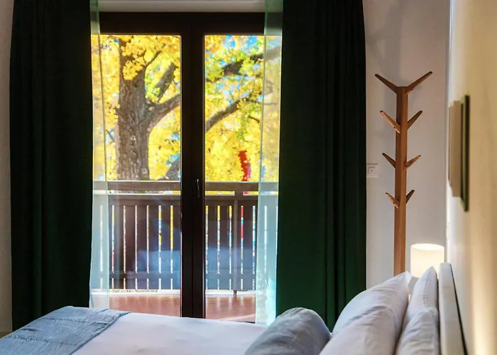 Florida By Quokka 360 - Between The And The