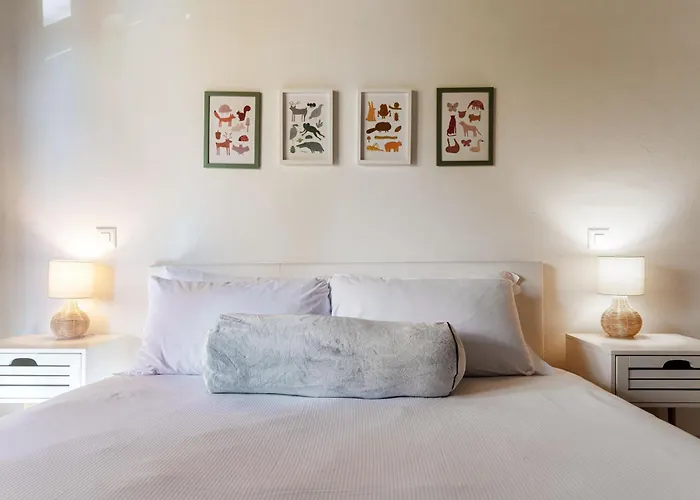 Florida By Quokka 360 - Between The And The *