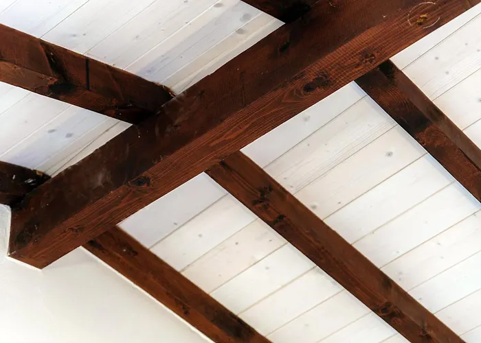 Florida By Quokka 360 - Between The And The アスコナ